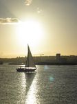 15337 Sailboat in the sun.jpg